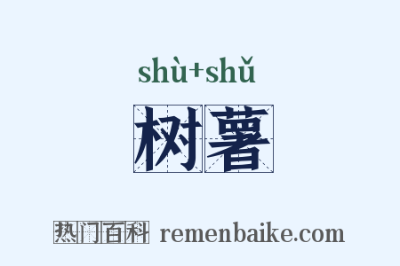 树薯是什么意思的图片
